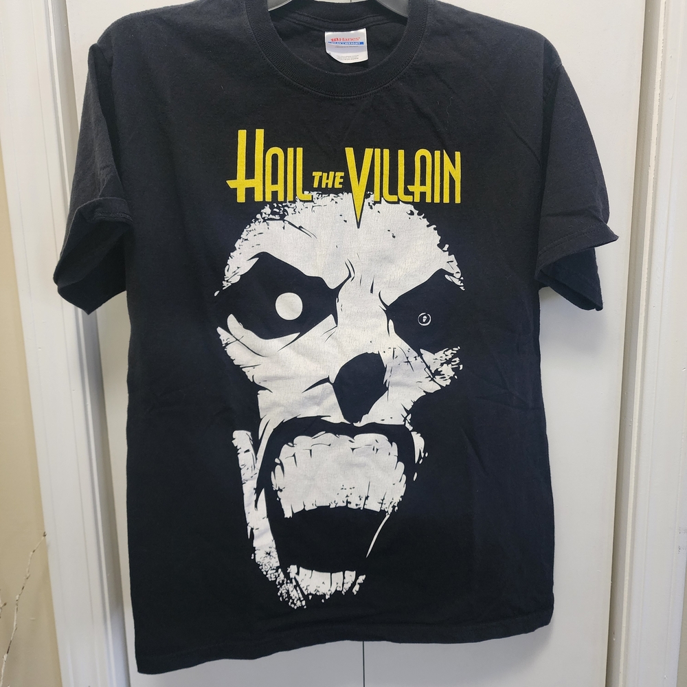 HAIL THE VILLAIN Graphic Band Tee RARE